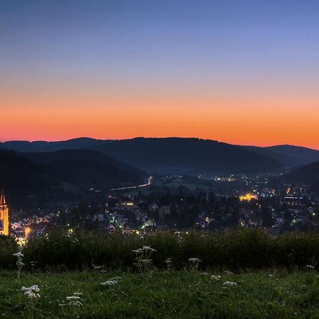 Drei Tannen - Wohnung 09 - Apartmenthaus, Titisee, Feldberg エクステリア 写真