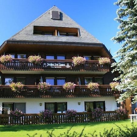 Drei Tannen - Wohnung 09 - Apartmenthaus, Titisee, Feldberg エクステリア 写真