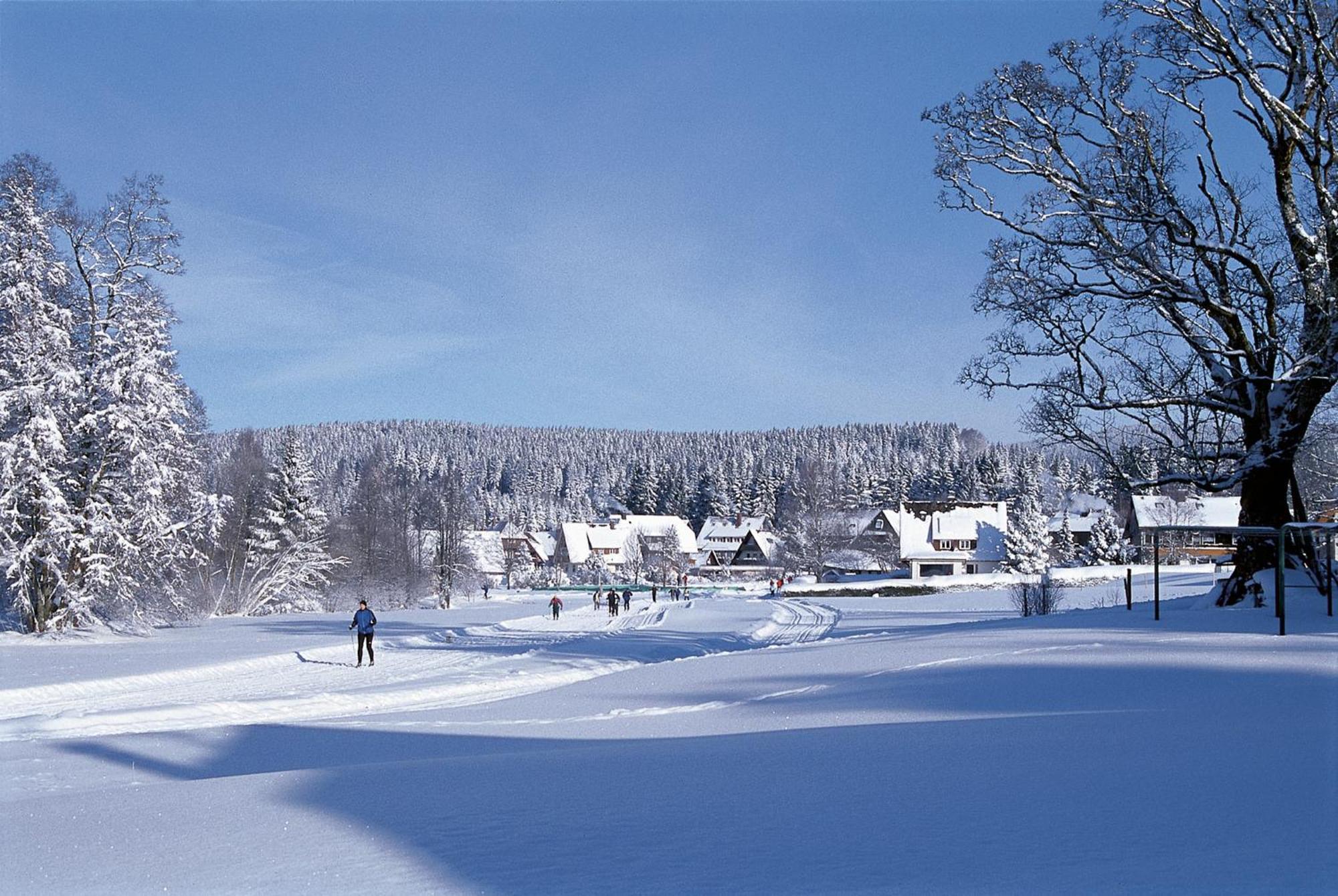 Drei Tannen - Wohnung 09 - Apartmenthaus, Titisee, Feldberg エクステリア 写真