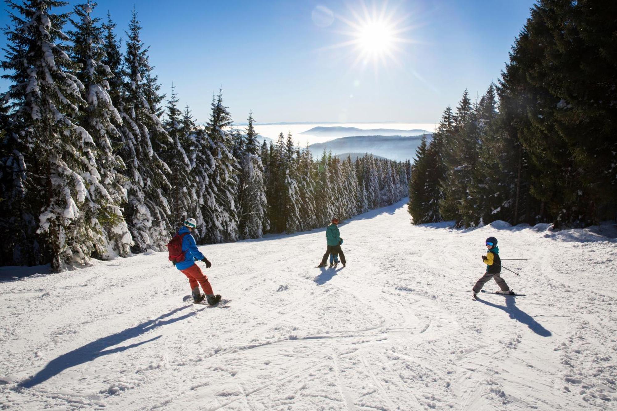 Drei Tannen - Wohnung 09 - Apartmenthaus, Titisee, Feldberg エクステリア 写真