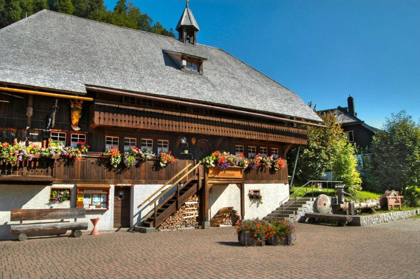 Drei Tannen - Wohnung 09 - Apartmenthaus, Titisee, Feldberg エクステリア 写真