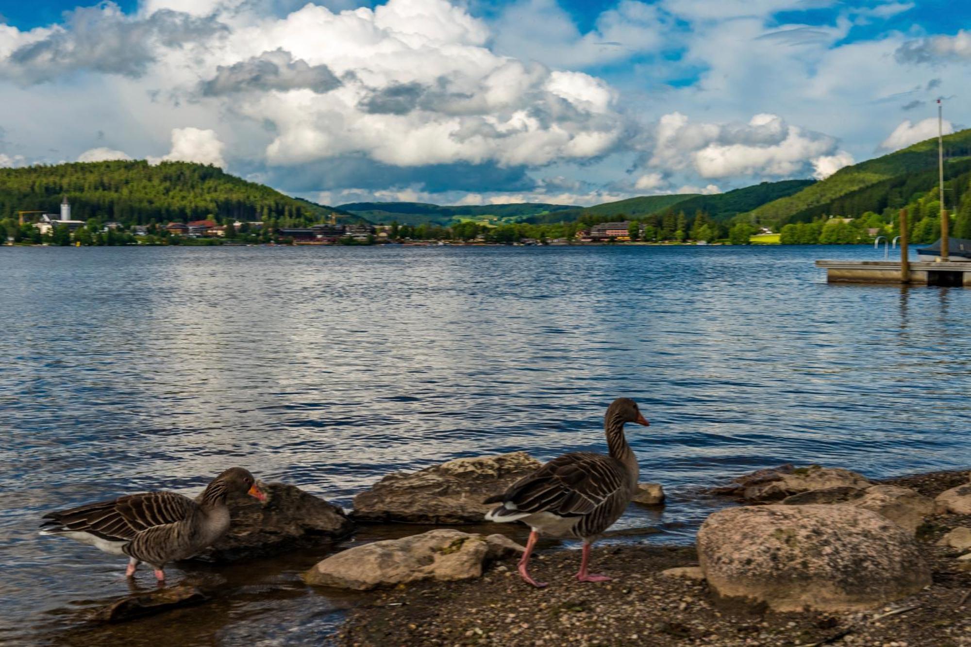 Drei Tannen - Wohnung 09 - Apartmenthaus, Titisee, Feldberg エクステリア 写真