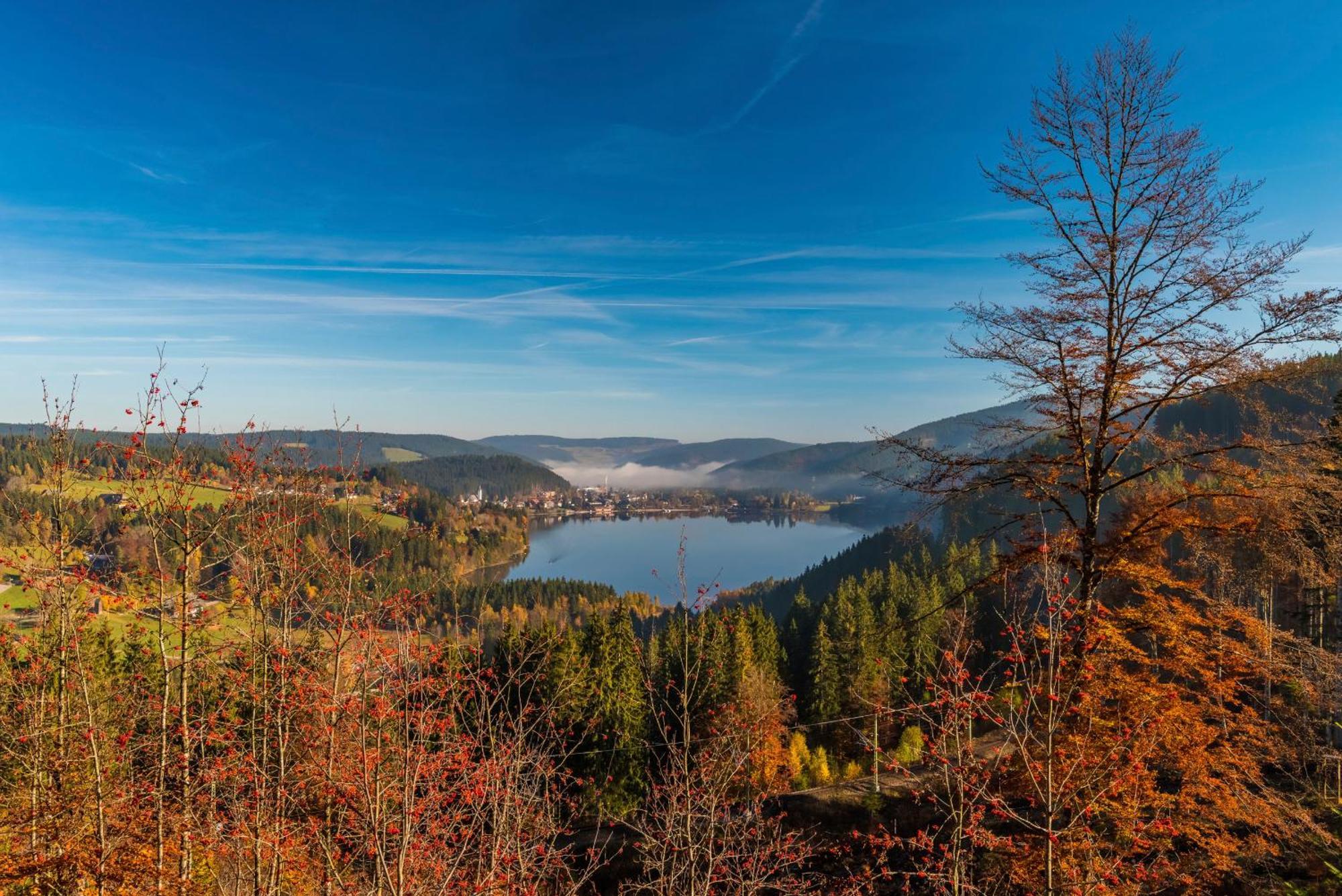 Drei Tannen - Wohnung 09 - Apartmenthaus, Titisee, Feldberg エクステリア 写真