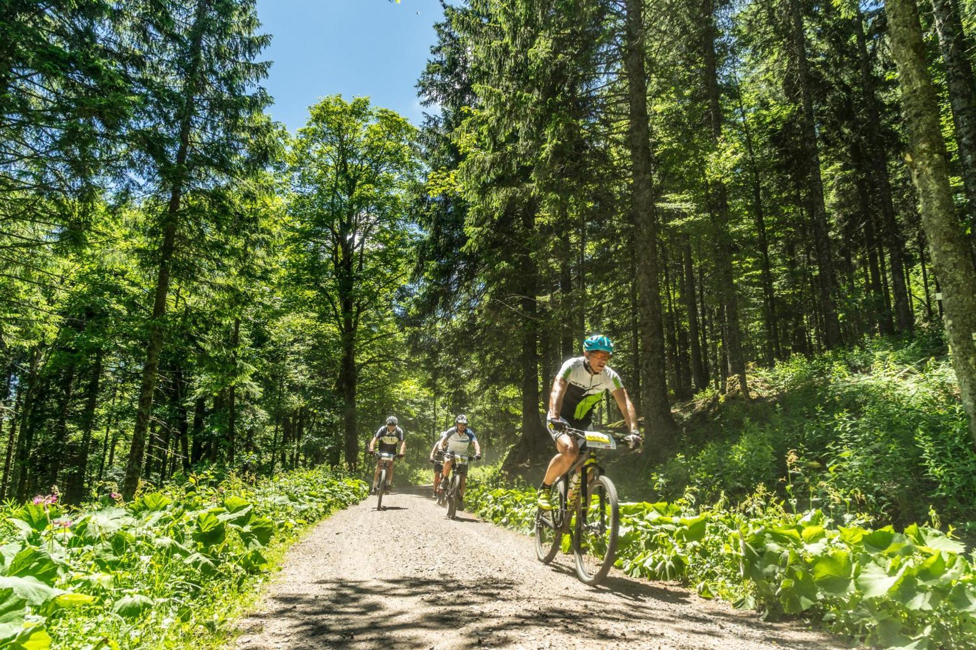 Drei Tannen - Wohnung 09 - Apartmenthaus, Titisee, Feldberg エクステリア 写真